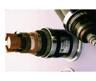 变频电缆“天康集团_天康_安徽天康_安徽天康集团”