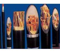 本安型信号控制电缆“天康集团_天康_安徽天康_安徽天康集团www.ahtiankangjt.cn”