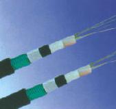 光缆“天康集团_天康_安徽天康_安徽天康集团www.ahtiankangjt.cn”