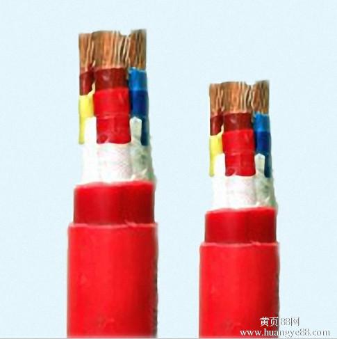 安徽天康---硅橡胶绝缘和护套电力电缆 