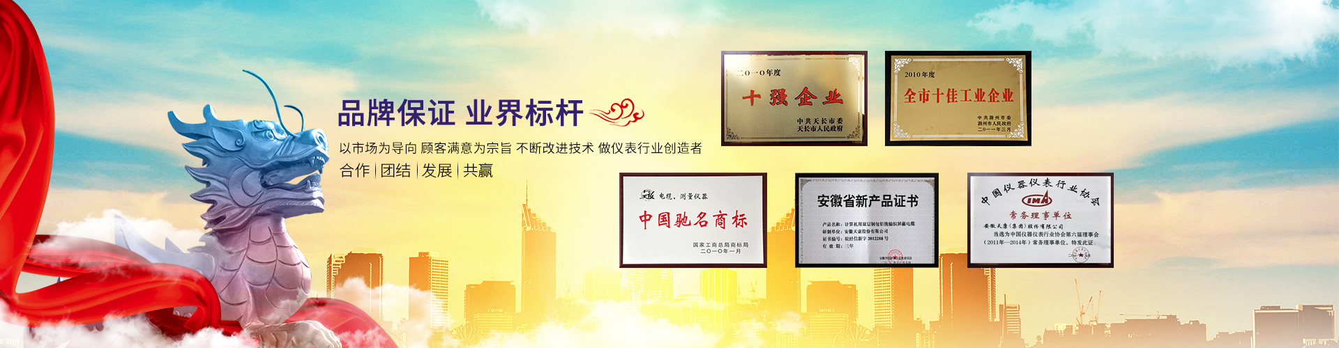 天康集团_安徽天康集团【安徽天康(集团)股份有限公司营销中心】